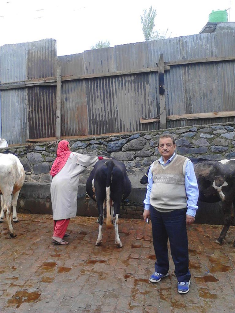 DISTRIBUTION OF COWS AFTER FLOOD SEP-2014 AS PART OF LIVELIHOOD REVIVAL PLAN