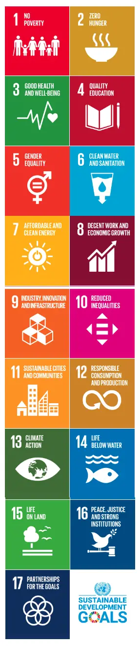 UN SDGs