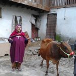 DISTRIBUTION OF COWS AFTER FLOOD SEP-2014 AS PART OF LIVELIHOOD REVIVAL PLAN